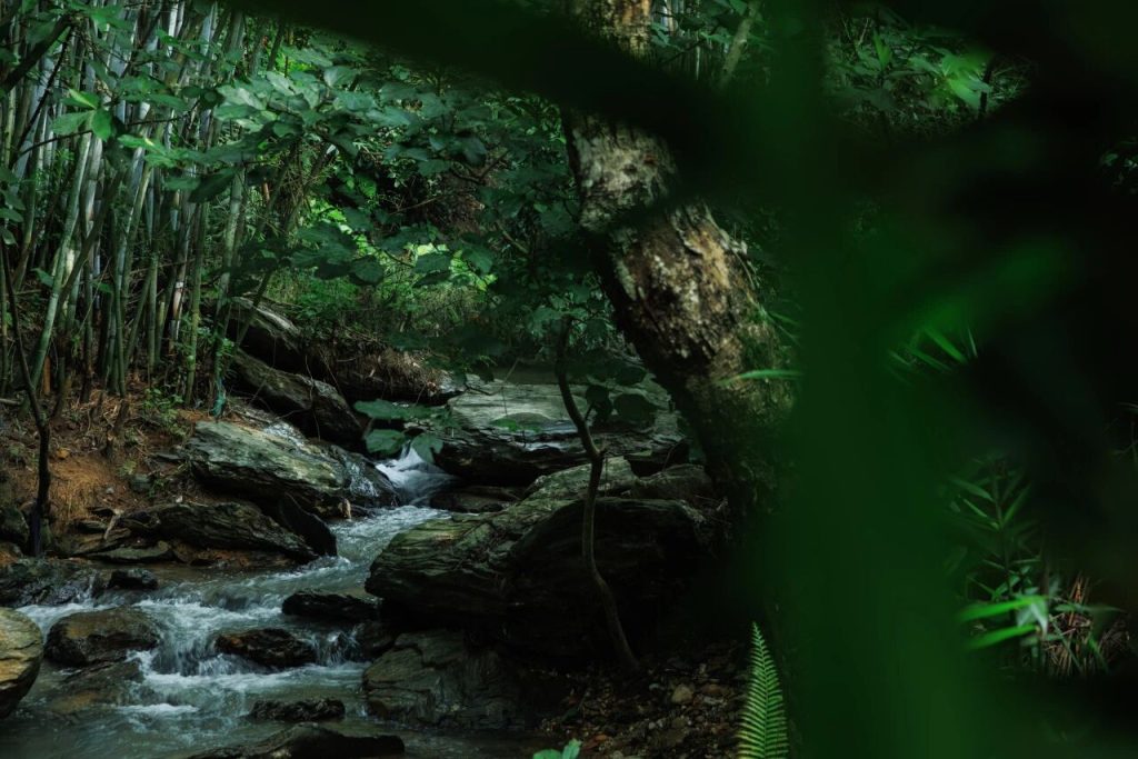 retreat and relax in the river canyons